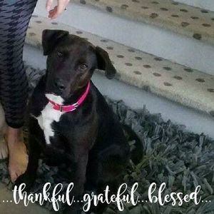 Meet your Posher, Theresa